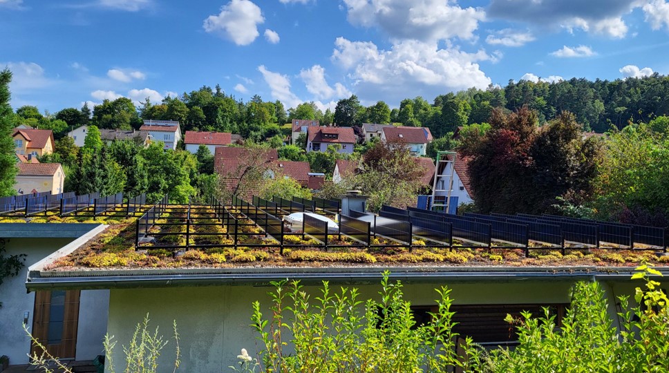 SOLYCO-Herstellerfoto eines begrünten Dachs mit vertikalen Photovoltaikmodulen